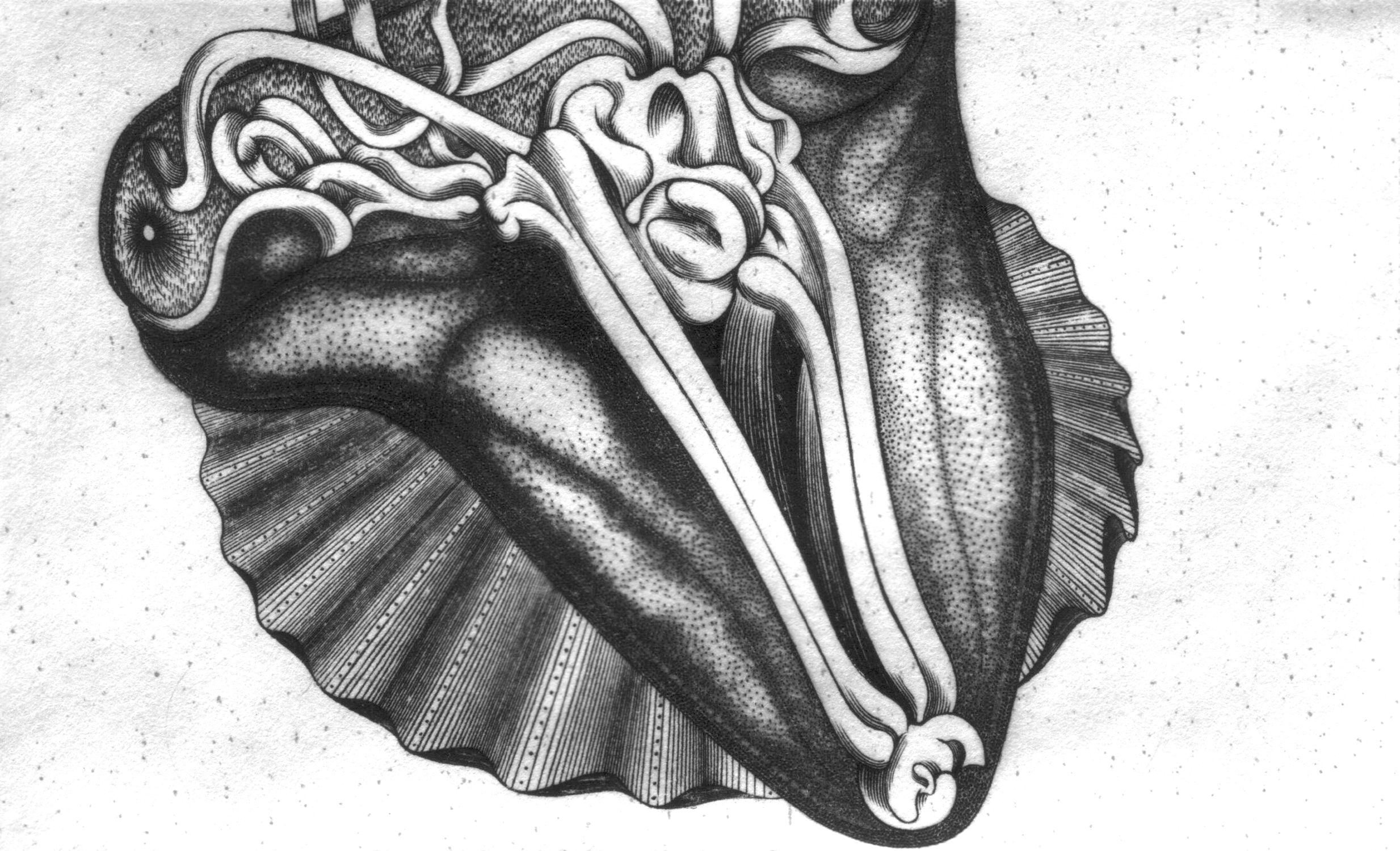 2010, Occurrence, burin et pointe sur cuivre, 9,5cm x 5,5cm