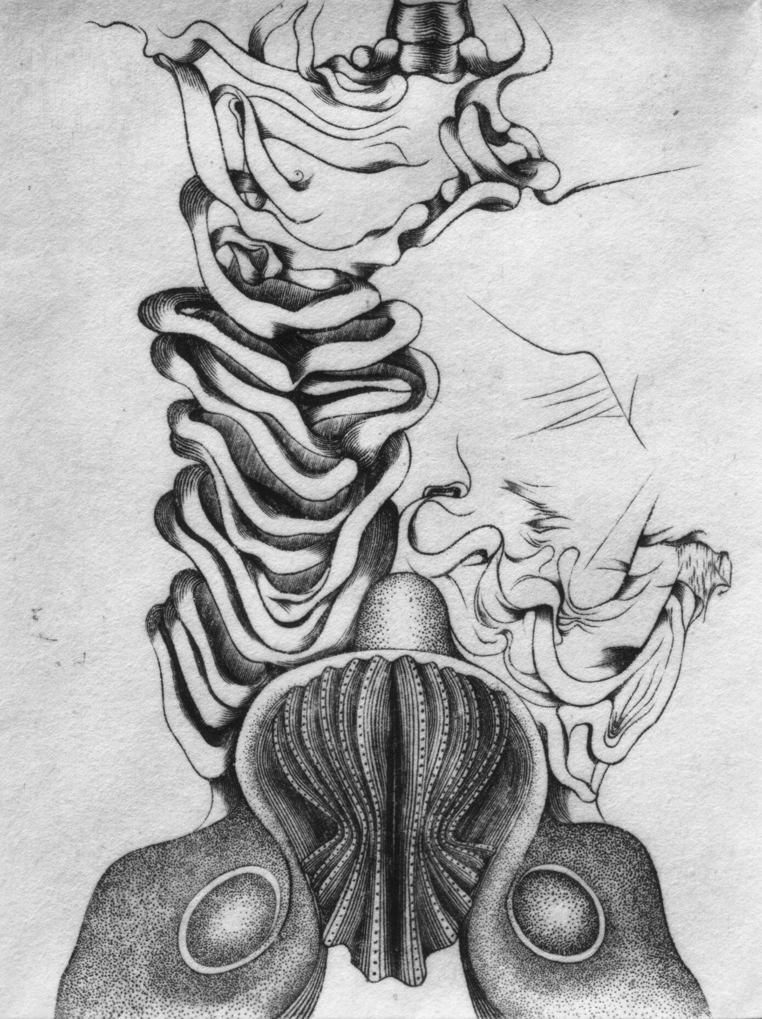 2010, Spéculaire, burin et pointe sur cuivre, 6cm x 8cm