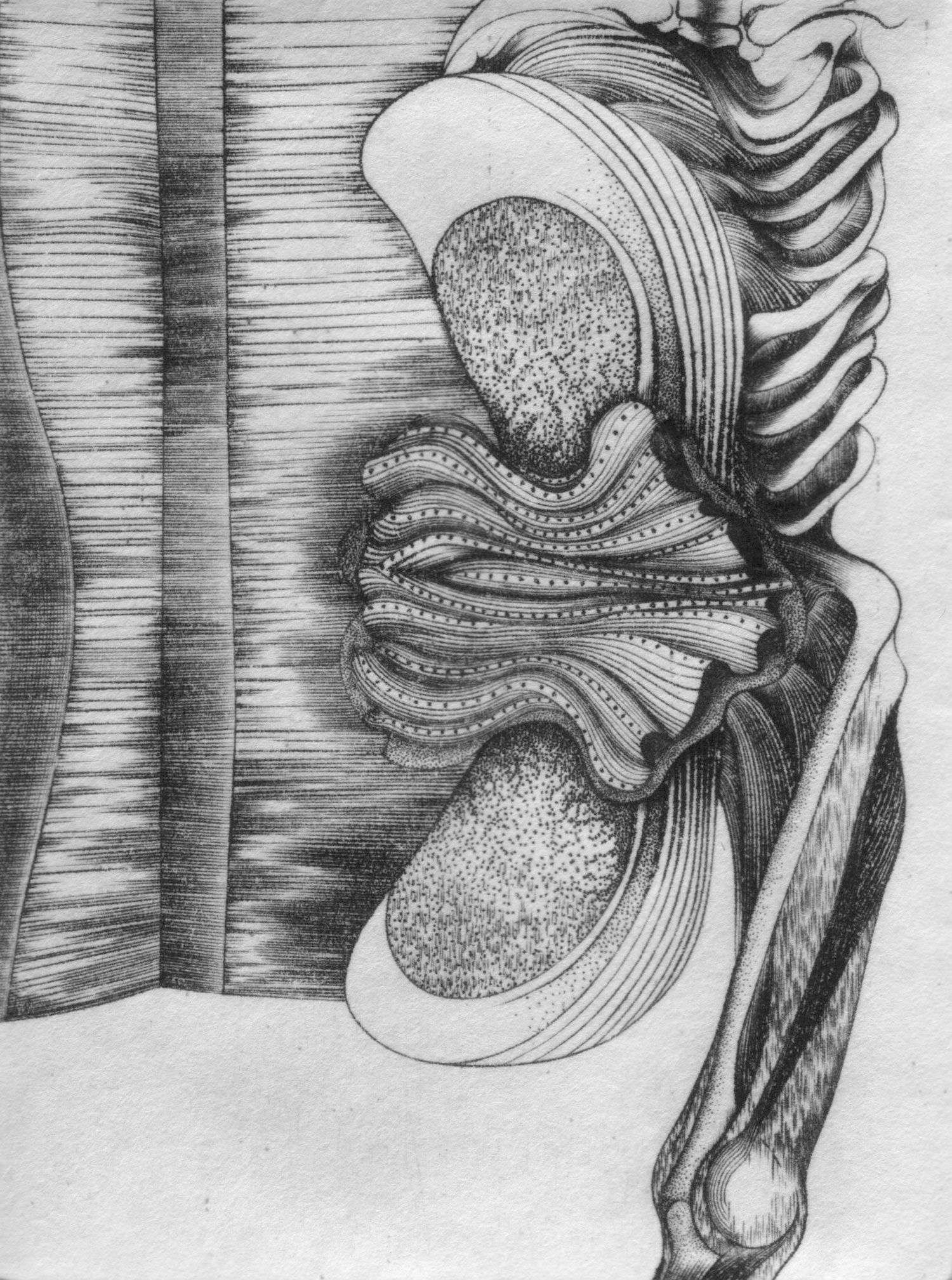 2009, Ventilation, burin et pointe sur cuivre, 6cm x 8cm