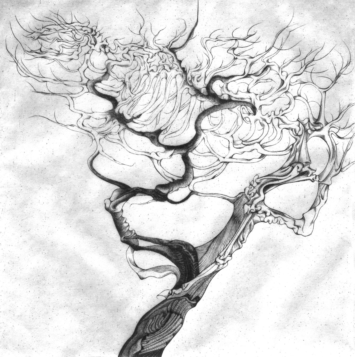 2010, Rencontres fortuites, burin et pointe sur cuivre, 16cm x 16cm