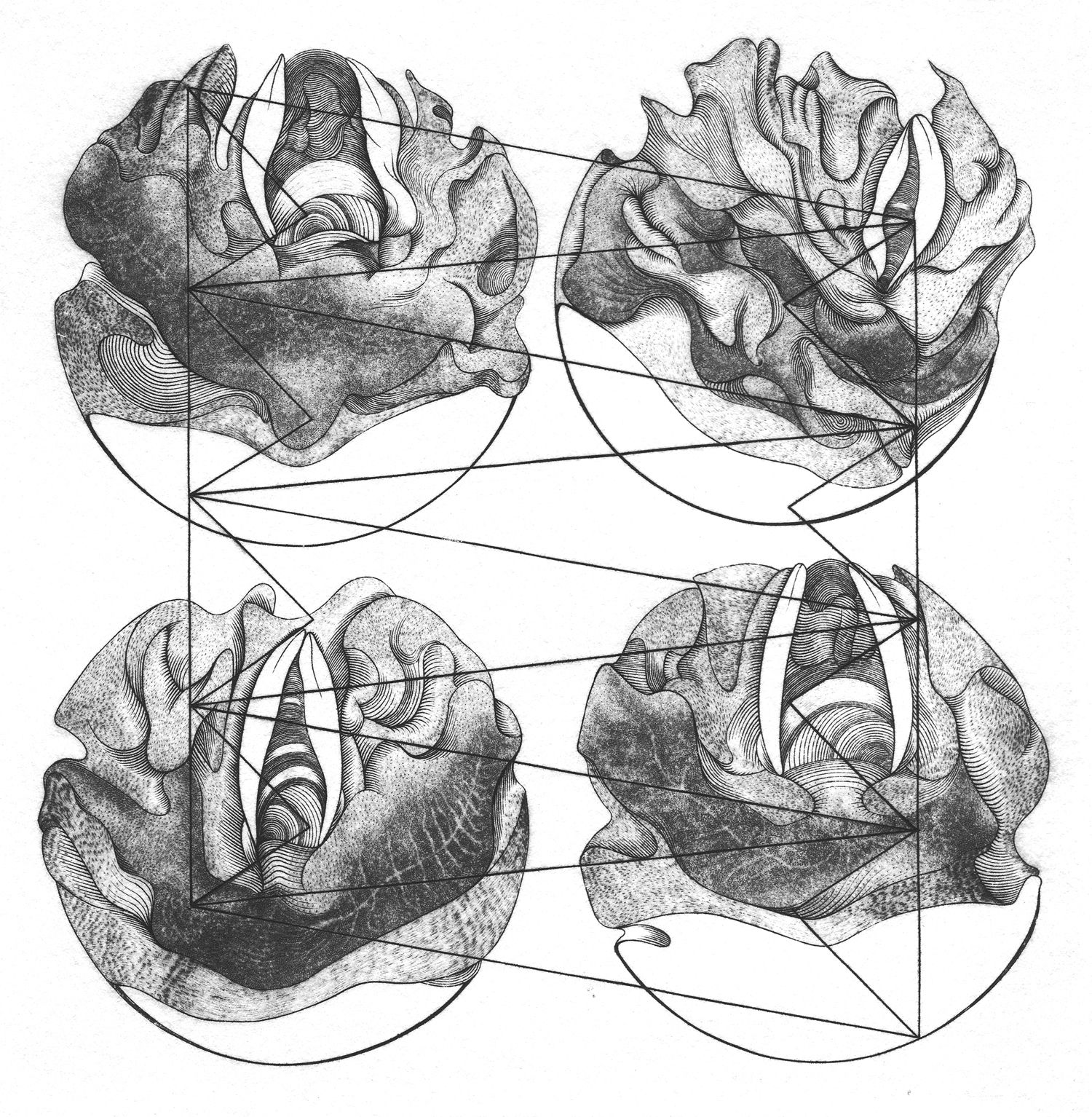 2013, Cordes vocales, burin et pointe sur cuivre, 13cm x 13cm