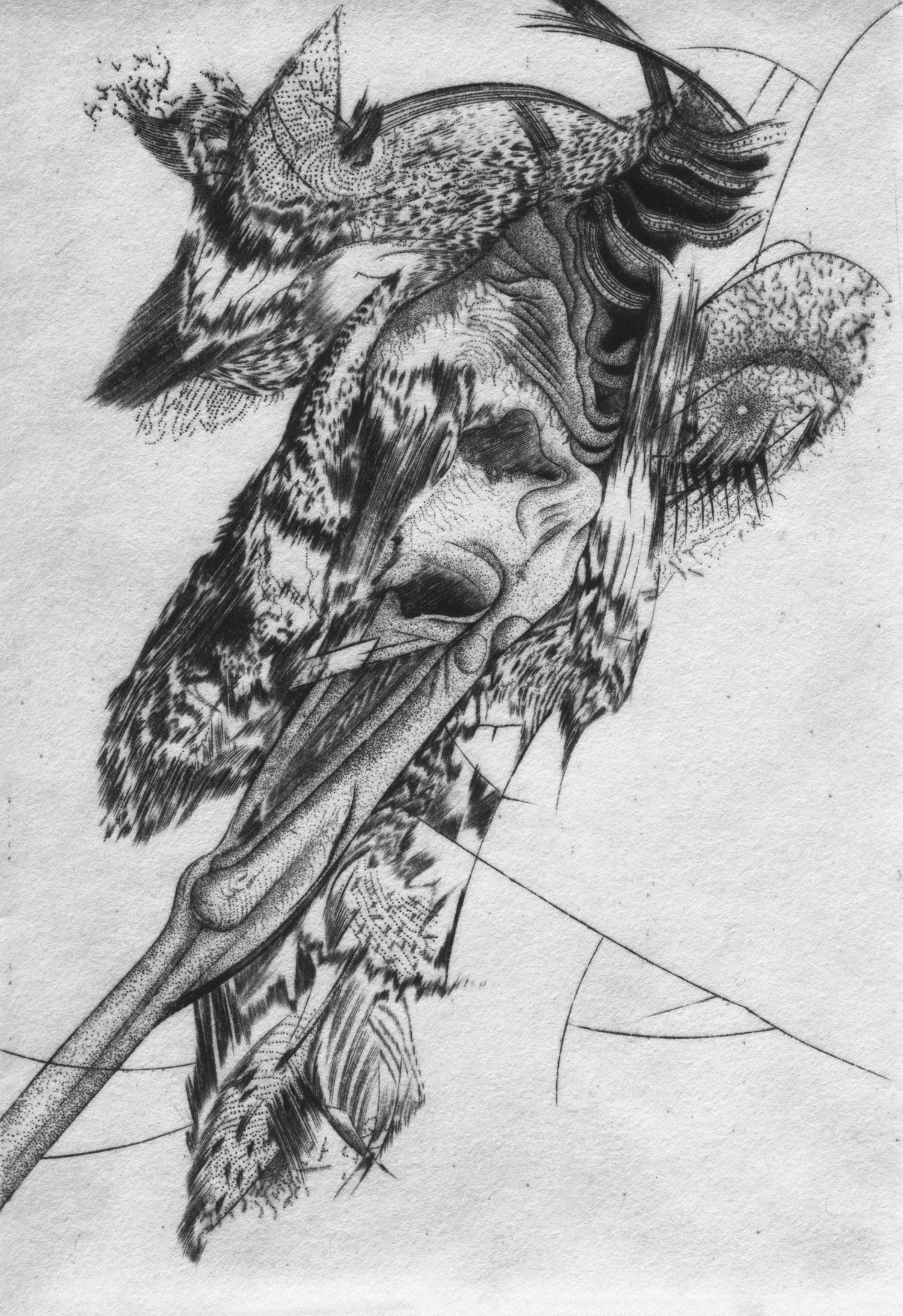 2009, La jambe gauche, burin et pointe sur cuivre, 7cm x 10cm